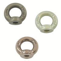 THREADED DIN 582, STEEL OR STAINLESS STEEL 304 OR 316 LIFTING RING - THREADED DIN 582, STEEL OR STAINLESS STEEL 304 OR 316 LIFTING RING -