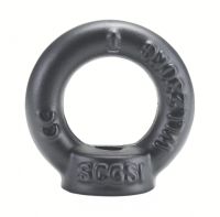 DIN 582 THREADED EYEBOLT, ANTI-REFLECTIVE COATING, - DIN 582 THREADED EYEBOLT, ANTI-REFLECTIVE COATING, -