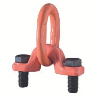 ARTICULATED EYEBOLT WITH BEARINGS, - ARTICULATED EYEBOLT WITH BEARINGS, -