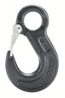 AUGE-HAKEN MIT SICHERUNGSFALLE, VERSPIEGELUNG, GRAD 80, - AUGE-HAKEN MIT SICHERUNGSFALLE, VERSPIEGELUNG, GRAD 80, -