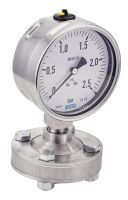 316L MALE BSPP STAINLESS STEEL VERTICAL DRY MANOMETER CONNECTION WITH REMOVABLE FLANGE DIAPHRAGM SEPARATOR INTERNATIONAL